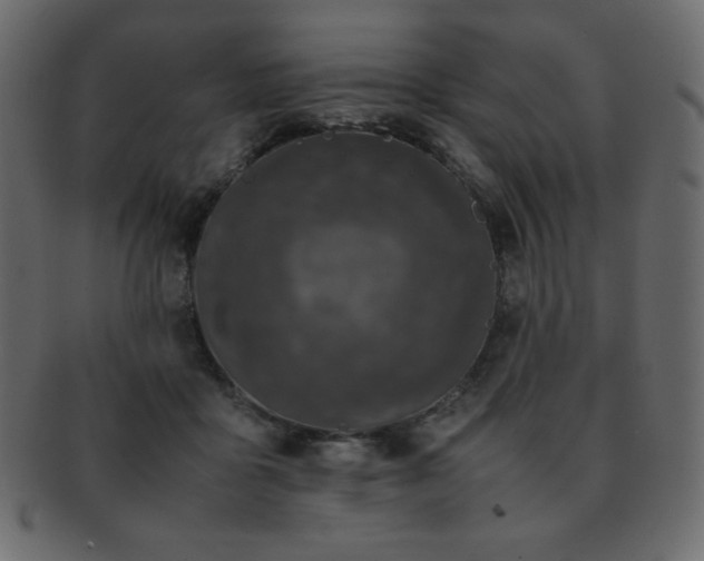 X0000093160411200709261513