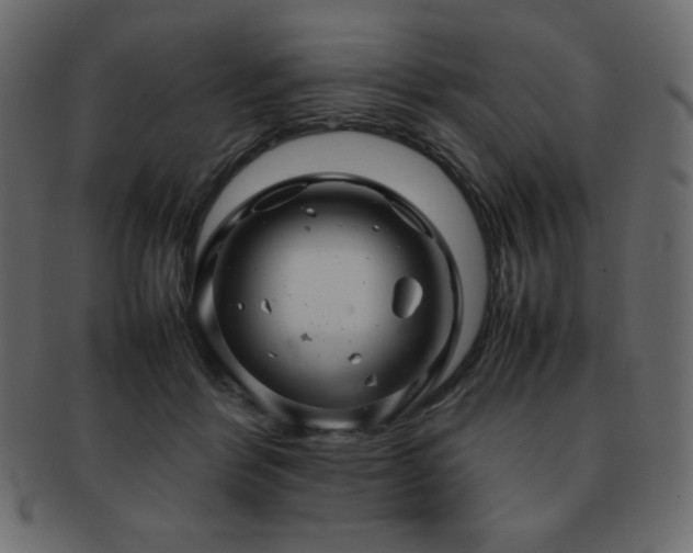 X0000093160412200709261513