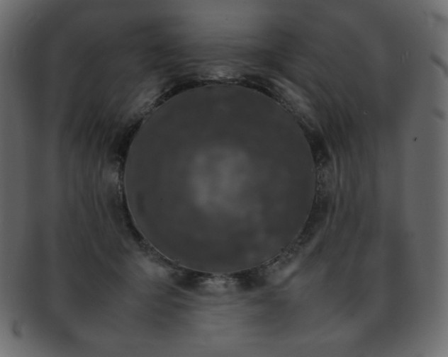 X0000093160415200709261513