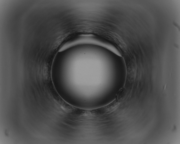 X0000093160416200709261513