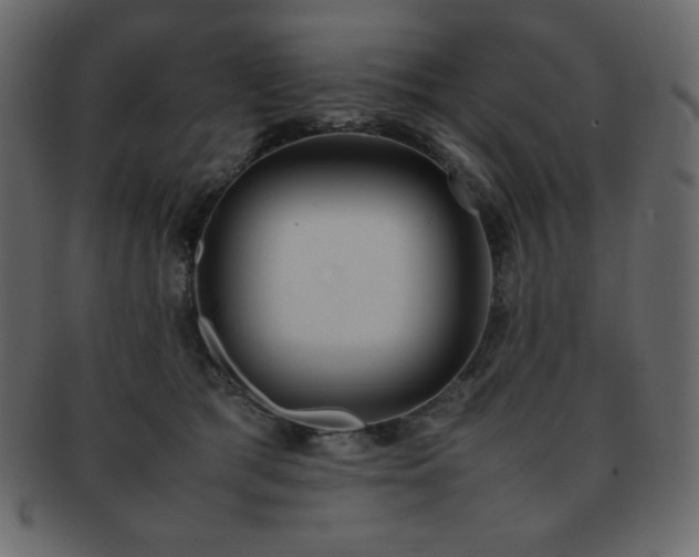X0000093160417200709261513