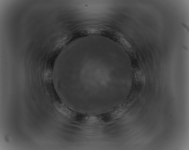 X0000093160419200709261513