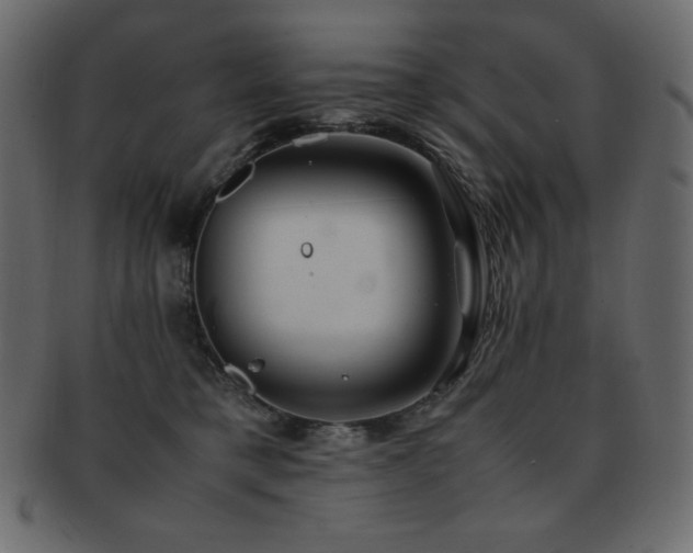 X0000093160421200709261513