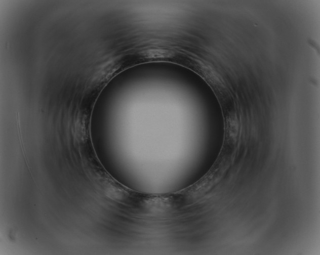 X0000093160422200709261513