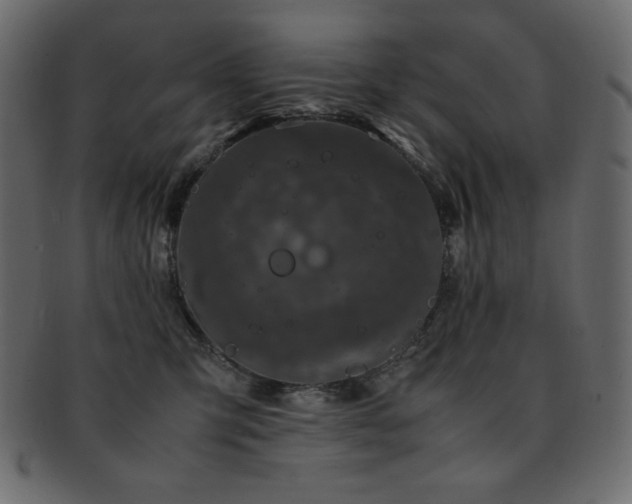 X0000093160423200709261513