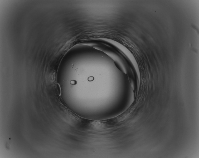 X0000093160425200709261513