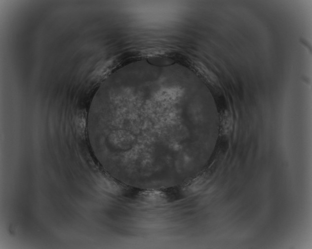 X0000093160427200709261513