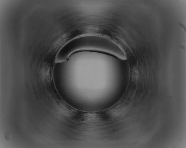 X0000093160428200709261513