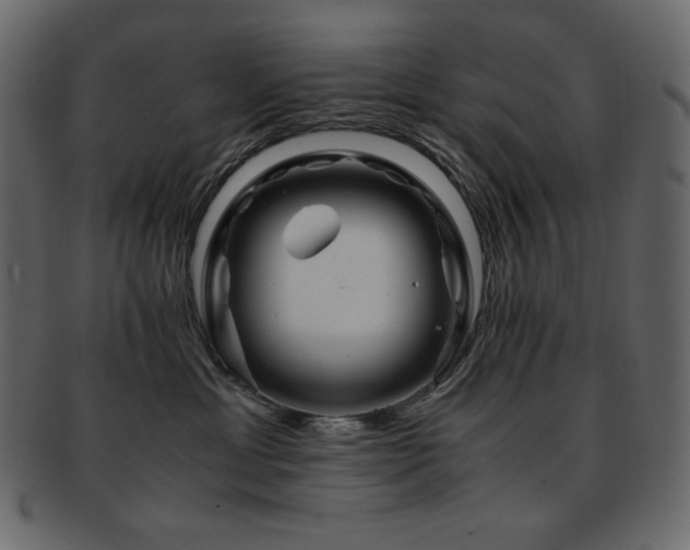 X0000093160429200709261513