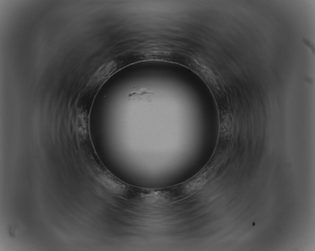 X0000093160430200709261513