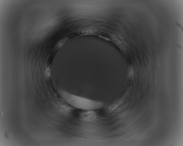 X0000093160431200709261513