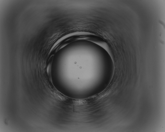X0000093160432200709261513