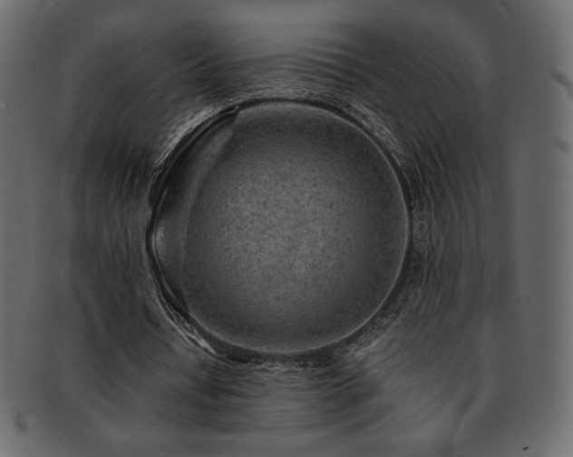 X0000093160434200709261512