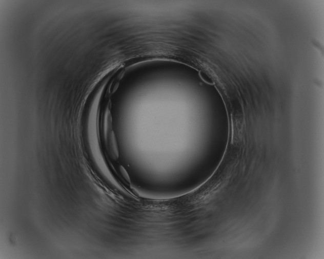 X0000093160435200709261512