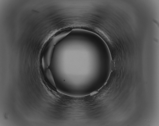 X0000093160436200709261512