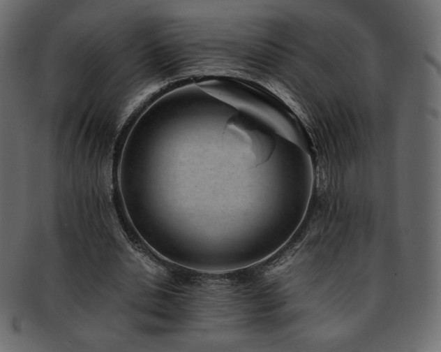X0000093160438200709261512