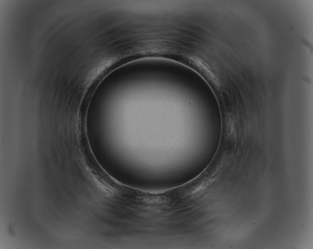 X0000093160439200709261512