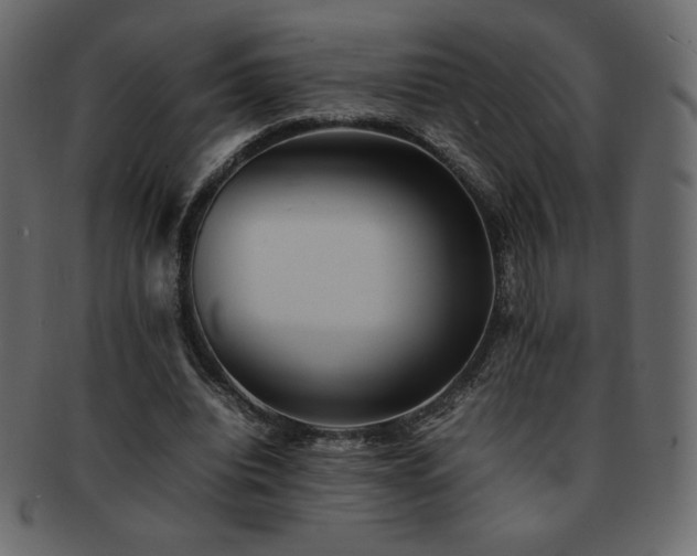 X0000093160440200709261512
