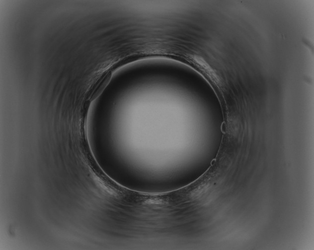 X0000093160441200709261512