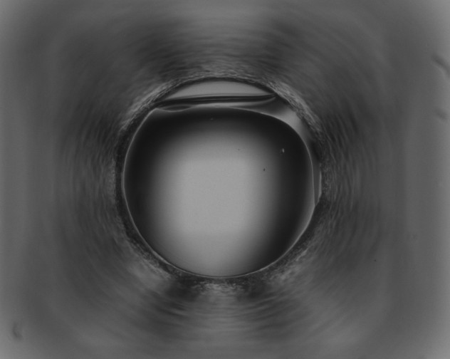 X0000093160442200709261512