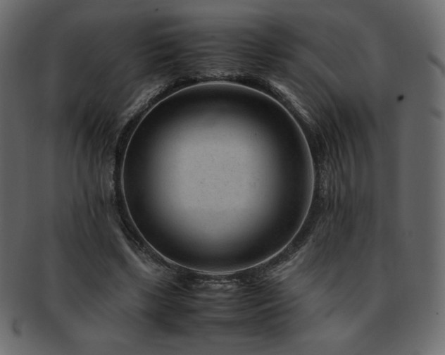 X0000093160443200709261512