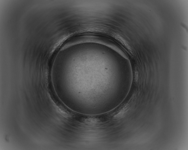 X0000093160444200709261512