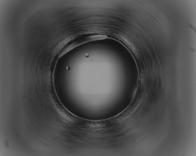 X0000093160445200709261512