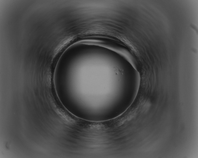 X0000093160446200709261512