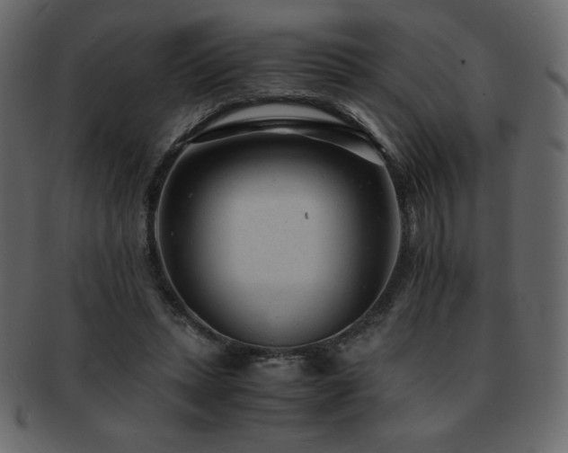 X0000093160447200709261512