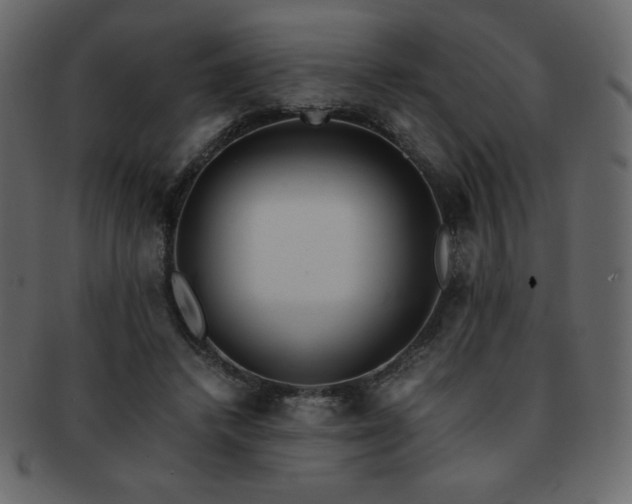 X0000093160448200709261512