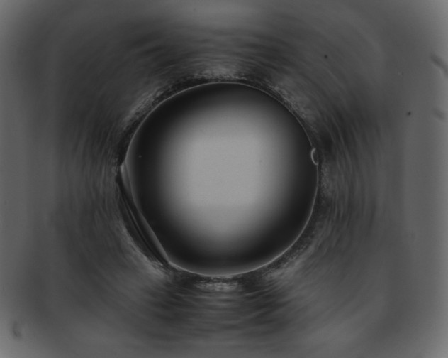 X0000093160449200709261512