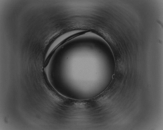 X0000093160450200709261512