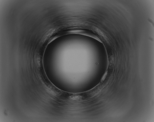 X0000093160452200709261512