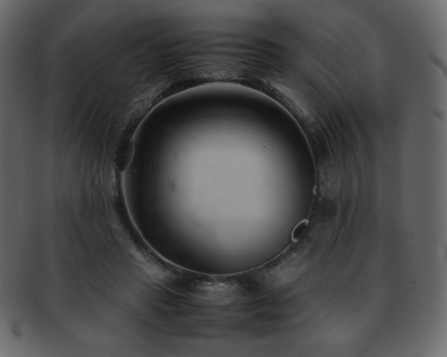 X0000093160453200709261512