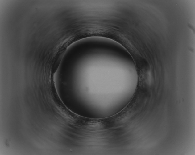 X0000093160454200709261512