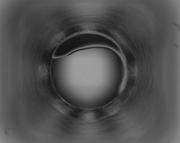 X0000093160456200709261512