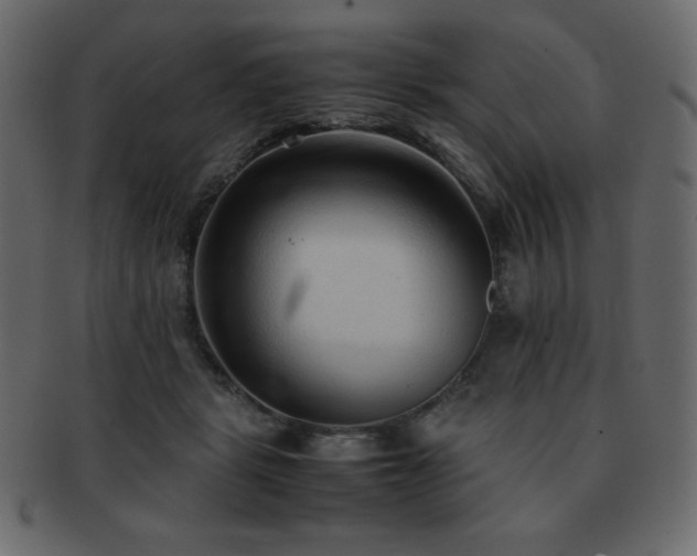 X0000093160461200709261512