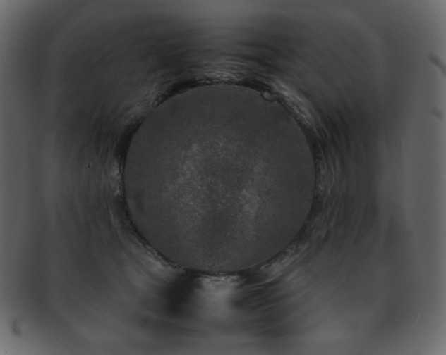 X0000093160465200709261512
