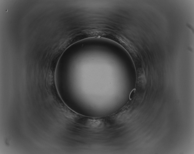 X0000093160469200709261512