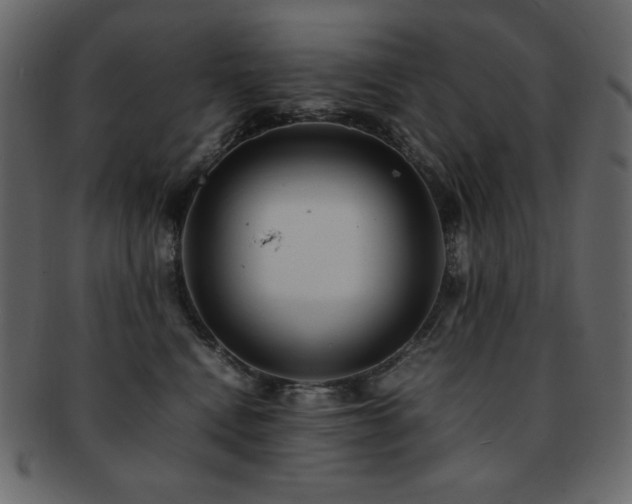 X0000093160472200709261512