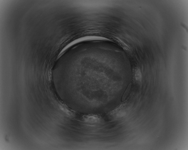 X0000093160475200709261513
