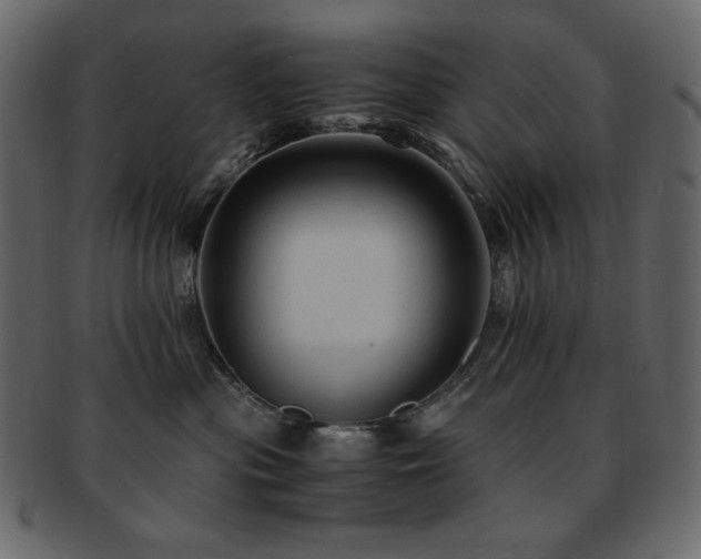 X0000093160477200709261513