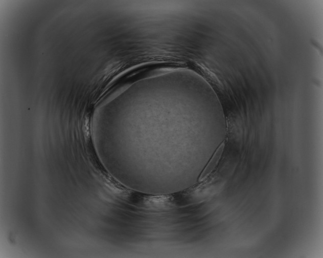 X0000093160479200709261513