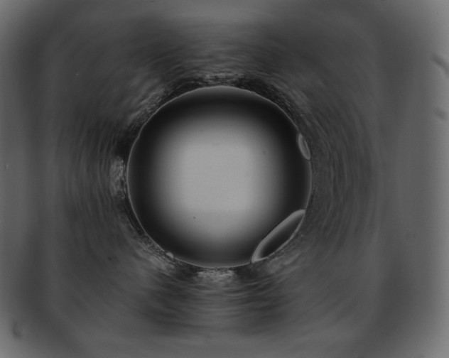 X0000093160480200709261513