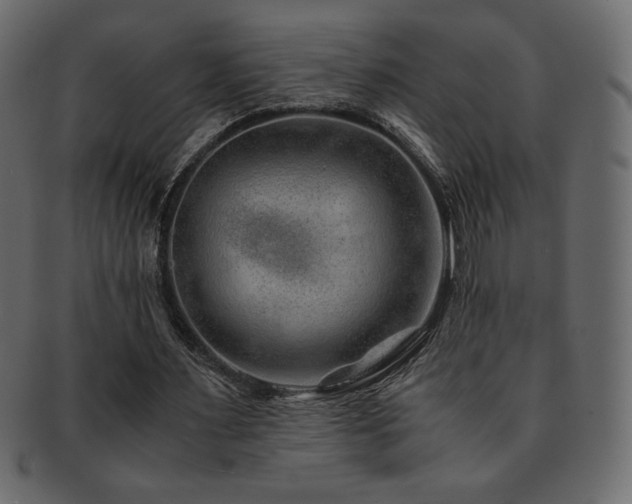X0000093160483200709261512
