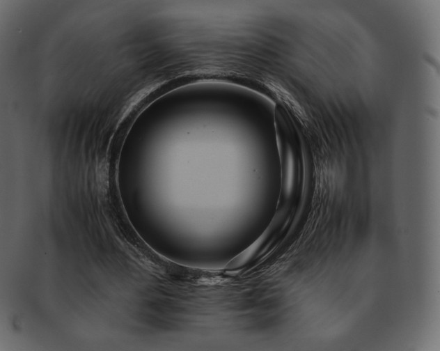 X0000093160484200709261512