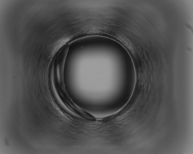 X0000093160485200709261512