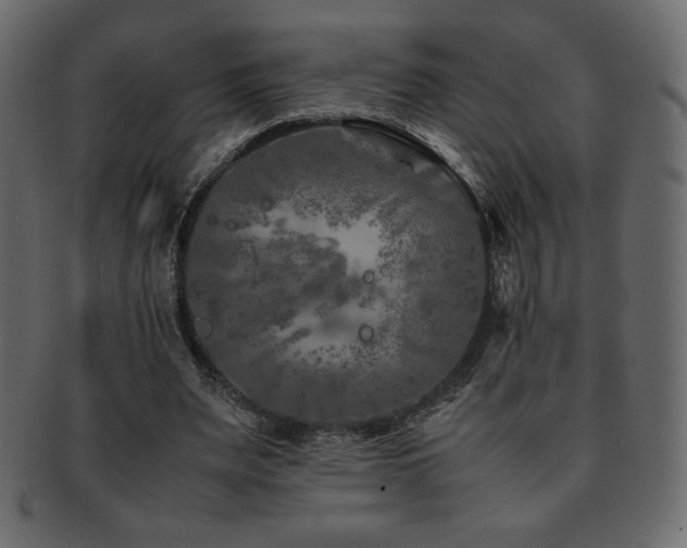 X0000093160487200709261512