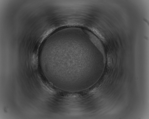 X0000093160488200709261512