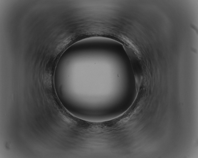 X0000093160489200709261512